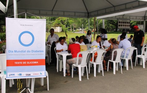 Evento do IEDE - Dia Mundial do Diabetes 2015 (19)