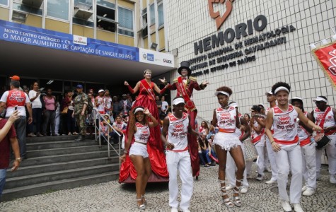 Hemorio - bloco de carnaval (3)